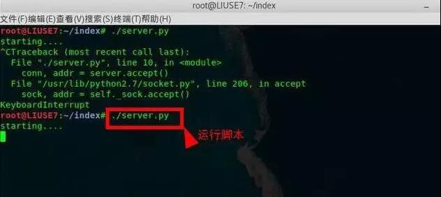 运行server.py脚本